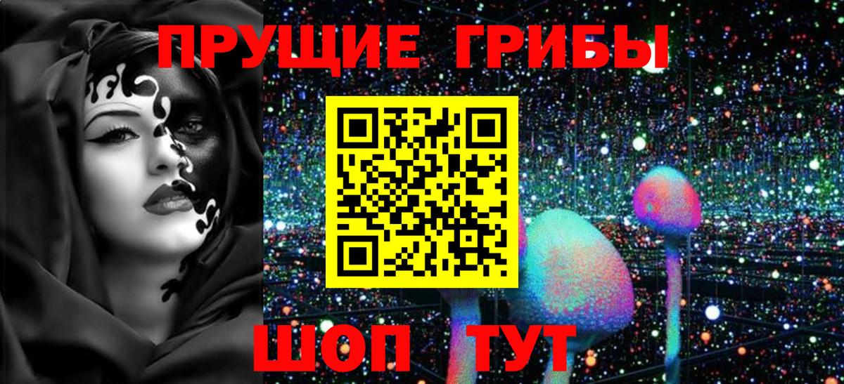 Псилоцибиновые грибы прущие грибы Самара
