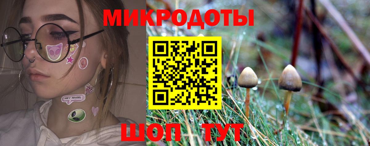 Самара  Псилоцибиновые грибы Psilocybe  где купить наркоту  Вход с VPN 